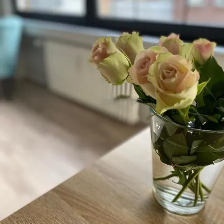 Апартаменты Buer Mit Balkon *