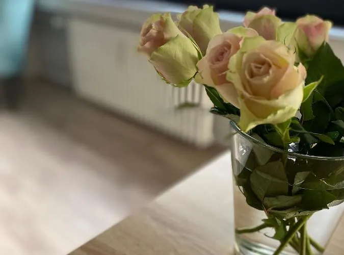 Appartement Buer Mit Balkon *